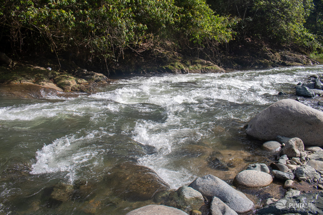 27 Waterfalls of Damajagua Private Tour - Rafting, Guide, Lunch, Transfer