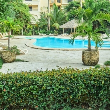 This big swimming pool is equipped with chaise lounges and surrounded by beautiful tropical vegetation.