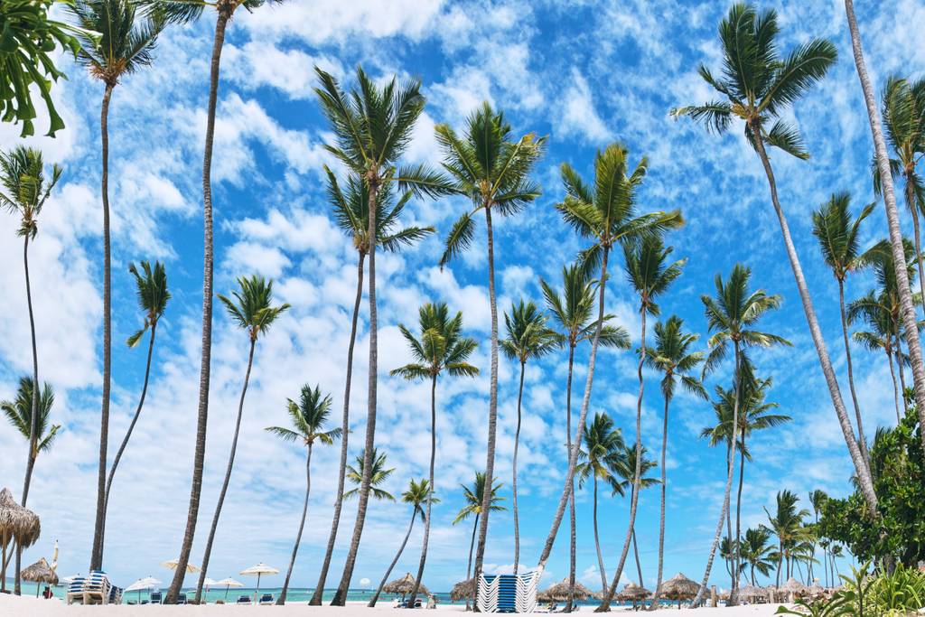 Palms, White Sands, Turquoise Water – Right on Los Corales Beach, DR - Everything Punta Cana