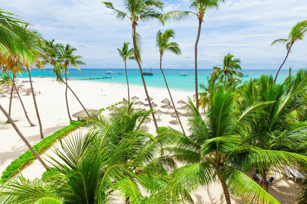 Acogedor Estudio con Vista al Jardín – en Renta en Punta Cana - Everything Punta Cana