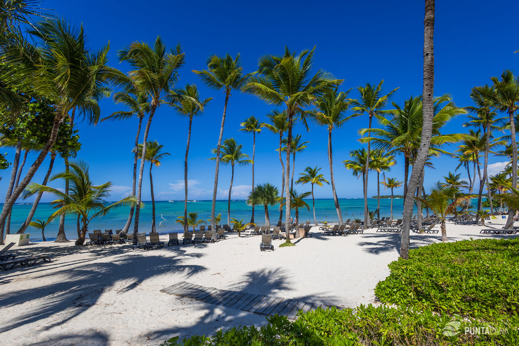 Top 5 Family Friendly Punta Cana Resorts 2024 Prices, Features, Pros