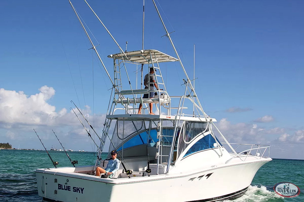 Deep Sea Fishing Punta Cana – Private Trolling Charters Aboard Blue Sky Yacht (Up to 5 Guests) - Everything Punta Cana