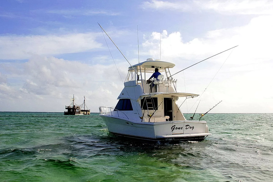 Deep Sea Punta Cana Fishing on a 37ft Sport Fishing Yach – Private Yacht Trips with Snorkeling - Everything Punta Cana