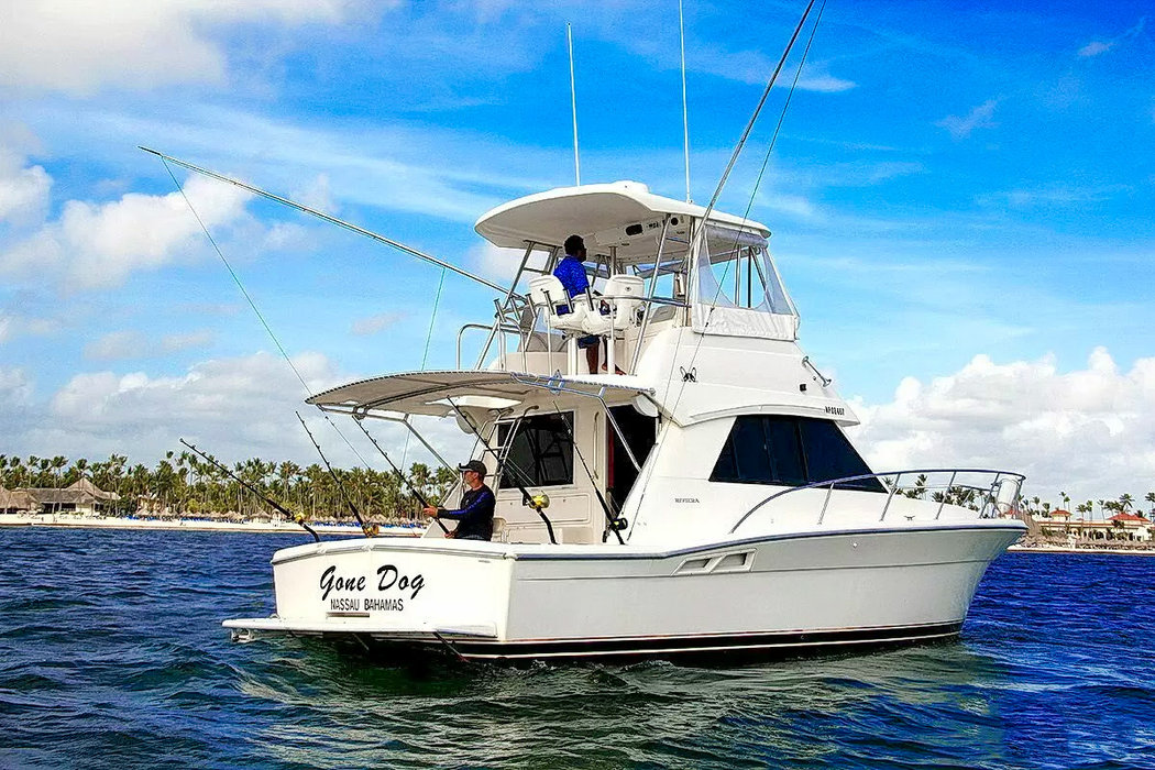 Deep Sea Punta Cana Fishing on a 37ft Sport Fishing Yach – Private Yacht Trips with Snorkeling - Everything Punta Cana