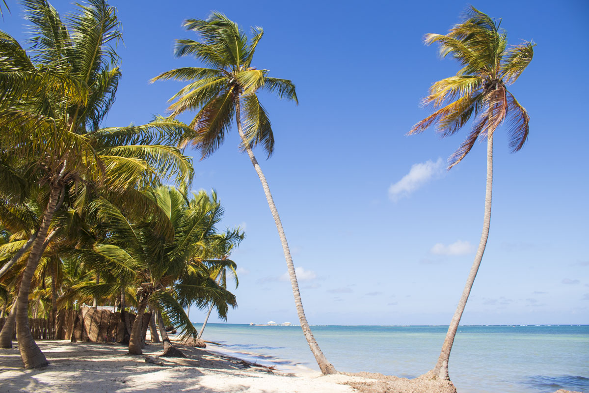 Cabeza de Toro Beach, Punta Cana