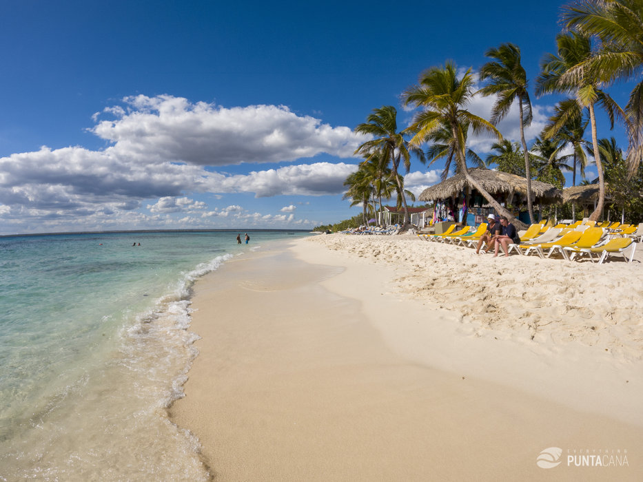 Catalina Island Day Trip: the Best Snorkeling Experience - Everything Punta Cana