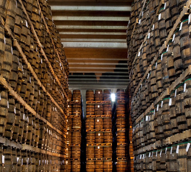 Cigars & Rum Factory Tour Punta Cana Ron Barceló & VegaFina