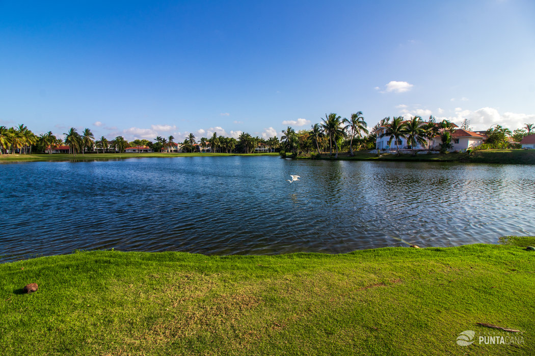 Gorgeous Cocotal Golf & Country Club Punta Cana Wallpaper in 4K Gorgeous Cocotal Golf & Country Club Punta Cana Wallpaper in 4K