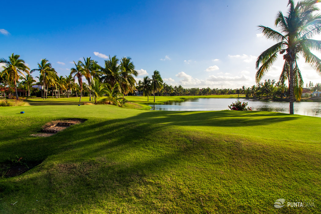 Crisp Cocotal Golf & Country Club Punta Cana Abstract for Mobile Crisp Cocotal Golf & Country Club Punta Cana Abstract for Mobile