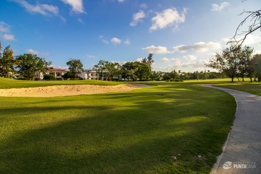 High-Quality Cocotal Golf & Country Club Punta Cana Moment Illustration High-Quality Cocotal Golf & Country Club Punta Cana Moment Illustration