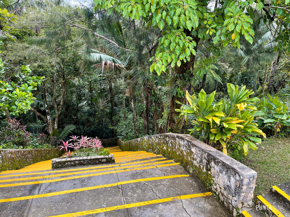 Damajagua 27 Falls & Puerto Plata Cable Car - 2-in-1 Private Tour 2026