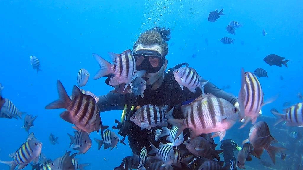 Scuba Diving Tour from Punta Cana – Catalina Island Dive & Snorkeling Trip with Buffet & Open Bar - Everything Punta Cana