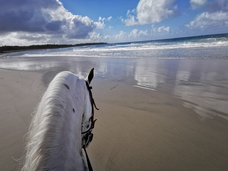 Beach Horseback Riding from Punta Cana – 4-Hour Tour to La Sabana de Nisibon and Playa El Limón - Everything Punta Cana
