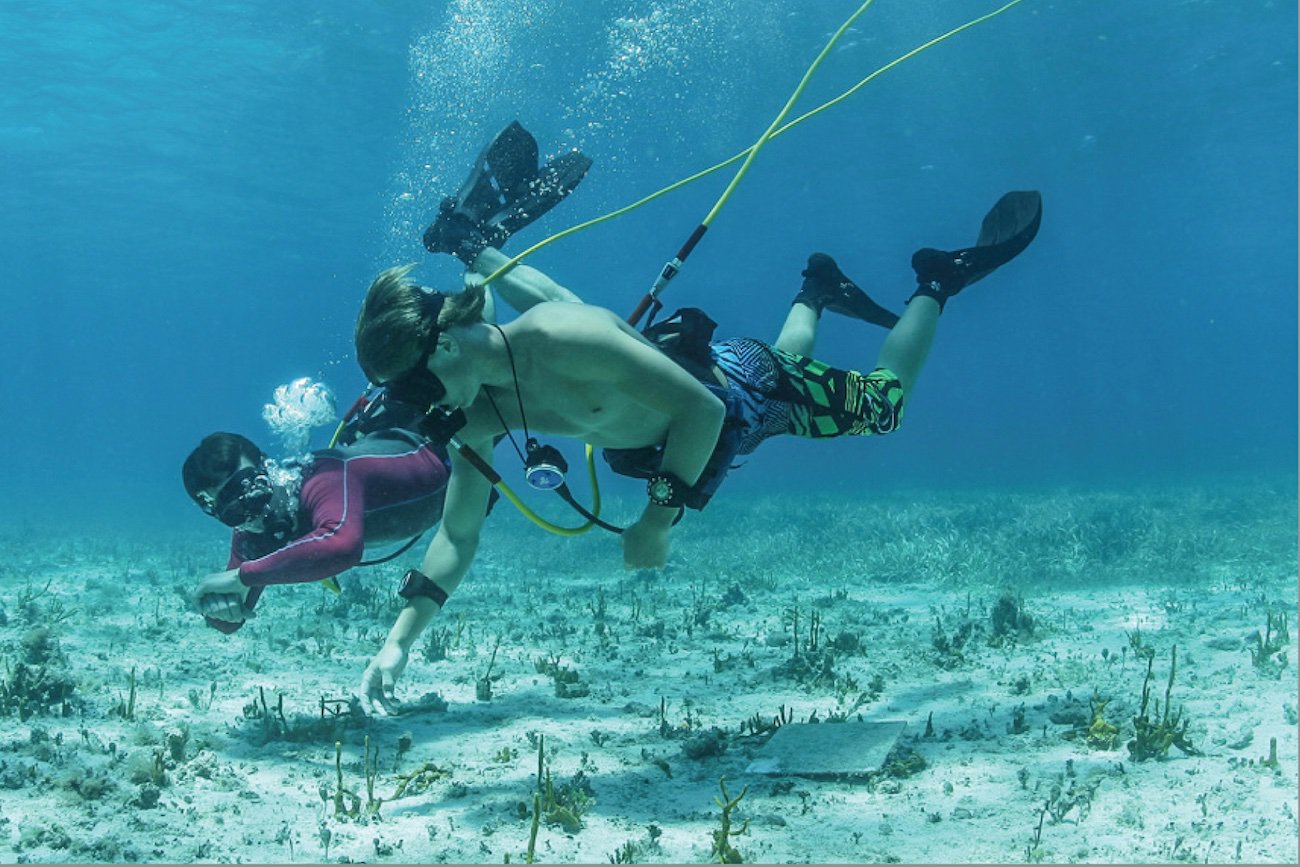 POWER DIVE – Power Adventures Punta Cana - Everything Punta Cana