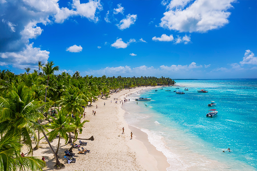 Saona Island Excursion – Caribbean Paradise - Everything Punta Cana
