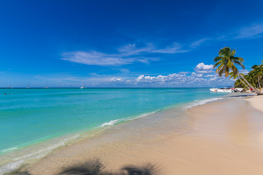 Saona Island Excursion - Caribbean Paradise!