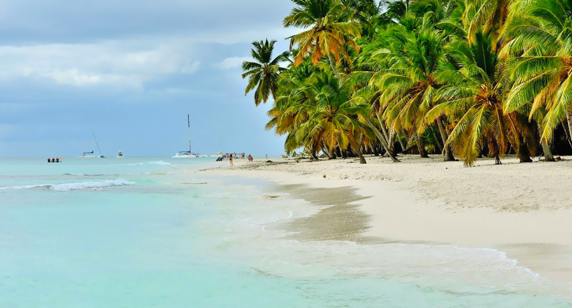 Saona Island Private Tour – From Punta Cana to Saona Excursion - Everything Punta Cana