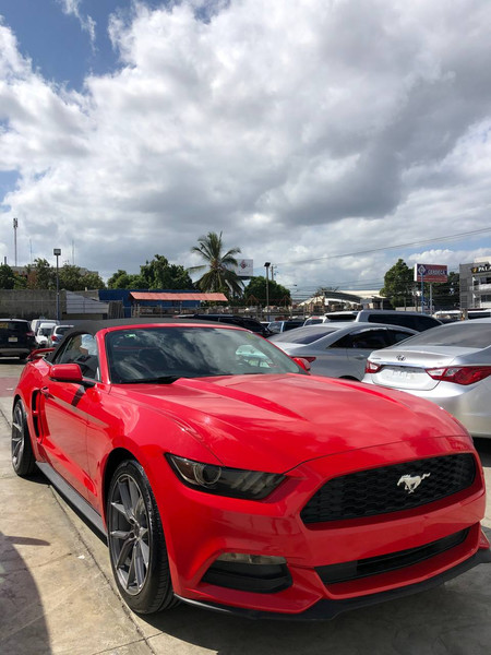 Ford Mustang Convertible <i>Car Rentals in Punta Cana</i> - Everything Punta Cana