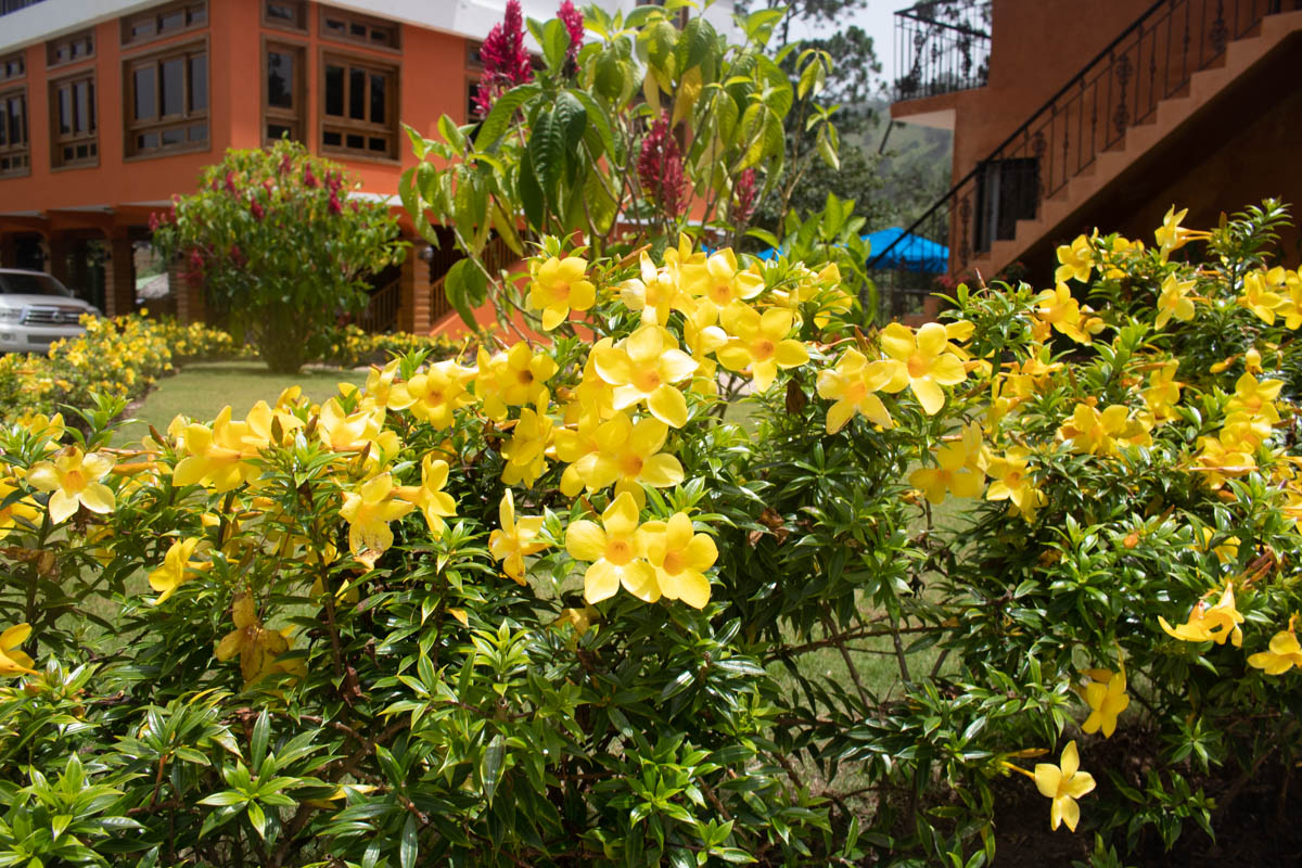 Jarabacoa 2024, the Dominican Republic facts, photos, villa rentals