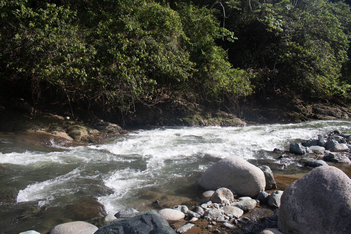 Jarabacoa in the Dominican Republic Facts & Villa Rentals 2024