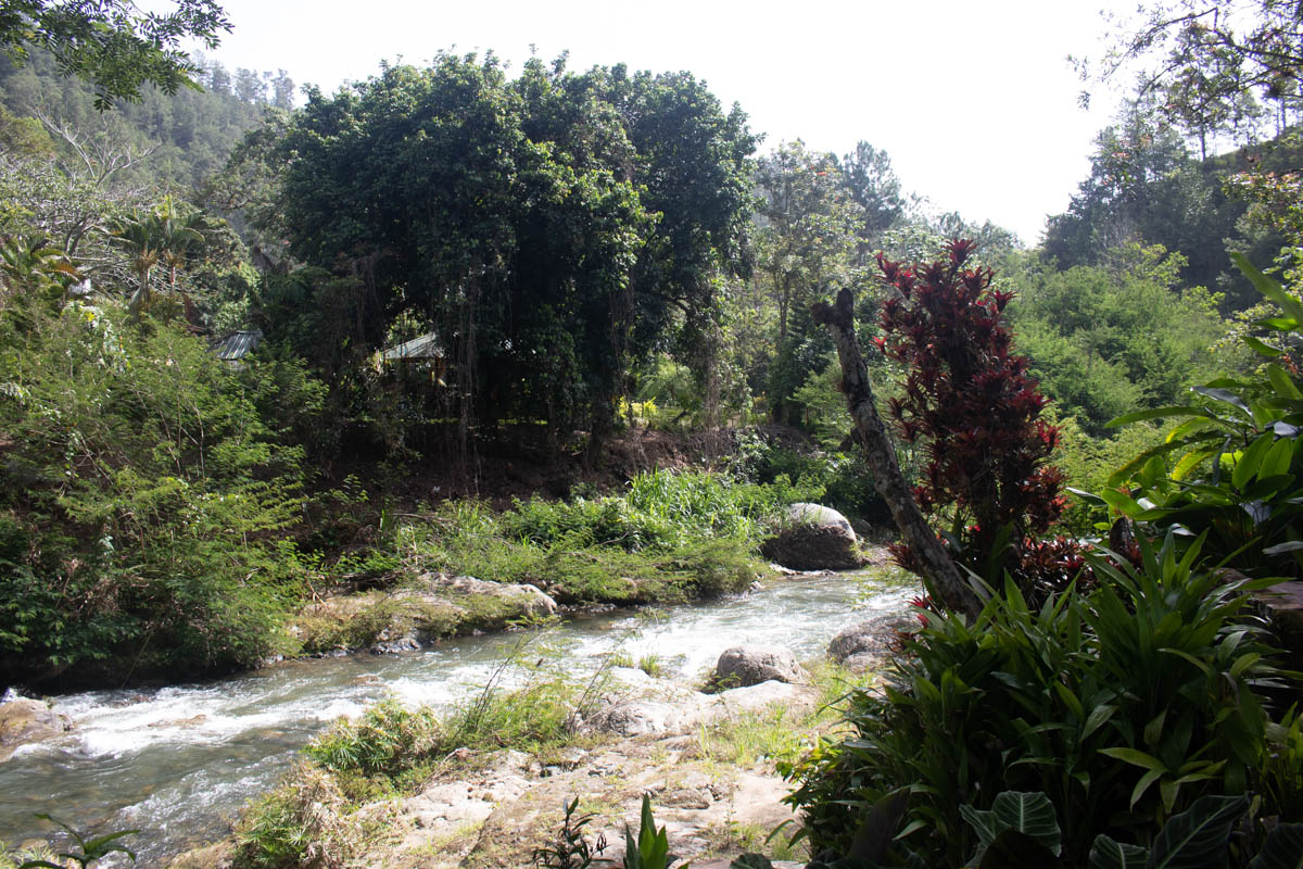 Jarabacoa in the Dominican Republic Facts & Villa Rentals 2024