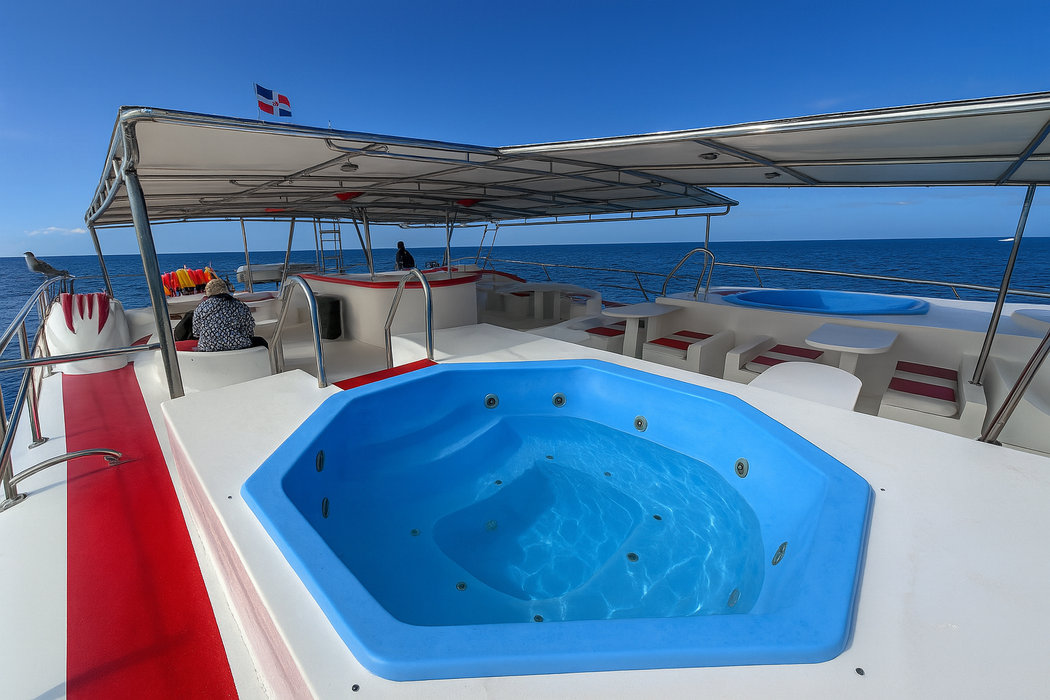 Private Catamaran Punta Cana Tour for Large Groups to Saona, Catalina – 2 Onboard Jacuzzis, Open Deck, Flybridge - Everything Punta Cana