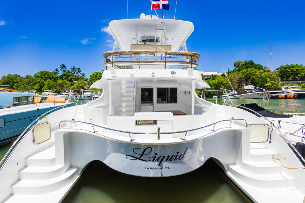 Private Catamaran Charter in Punta Cana – Full-Day Cruise on 57ft Liquid to Saona, Catalina with Snorkeling & Drinks - Everything Punta Cana