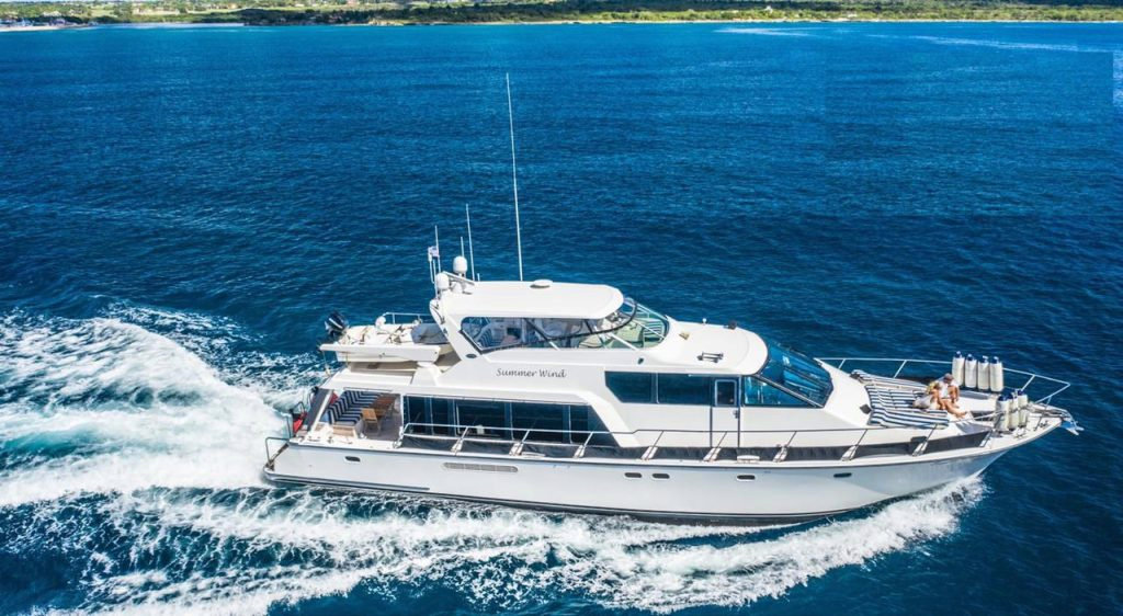 Private Yacht Charter from Punta Cana for Large Groups – Full-Day Luxury Tour on the Pacific Mariner 72 Yacht to Saona, Palmilla, Catalina - Everything Punta Cana