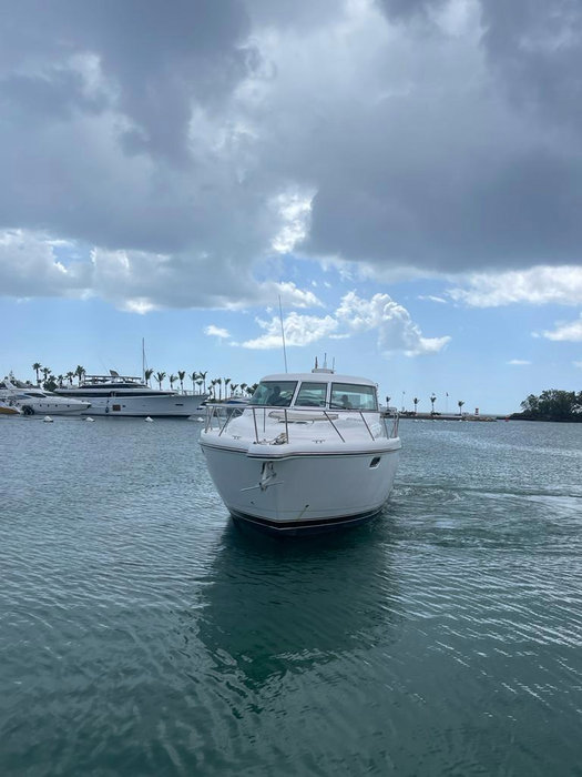Punta Cana Yacht Charter – Private Day Trips to Saona, Catalina – Snorkeling & Drinks - Everything Punta Cana