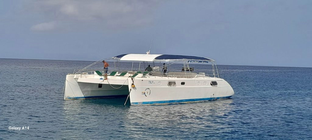 Luxury Punta Cana Catamaran Charter for Large Groups (Up to 60 Guests) – Perfect for Celebrating with Friends - Everything Punta Cana
