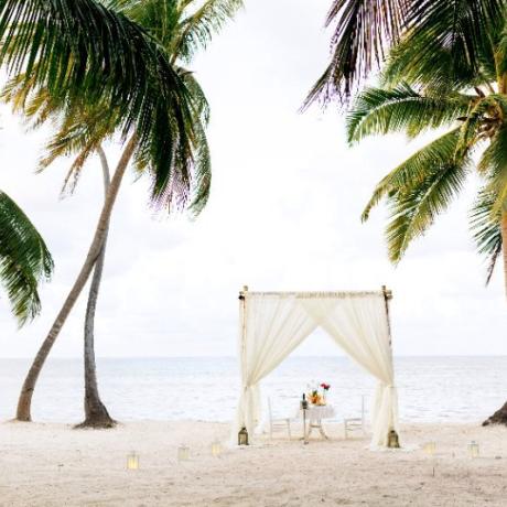 Marriage Proposal in Punta Cana – Best Wedding Packages 2024 - Everything Punta Cana