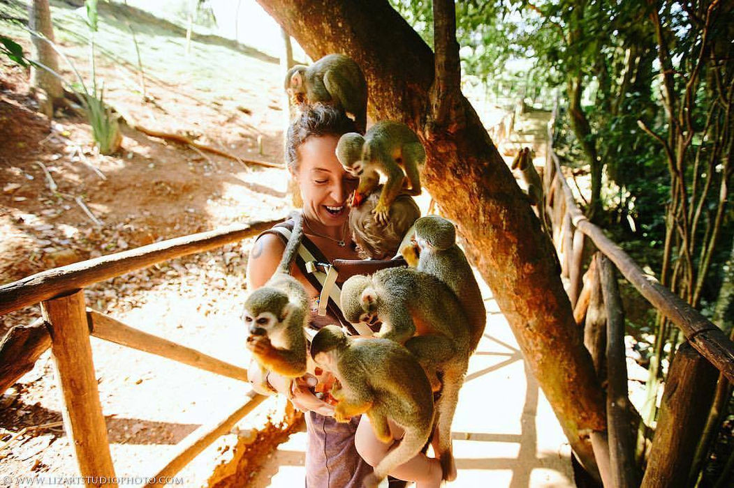 Best Monkey Excursion from Punta Cana – 2-in-1 Tour: Monkeyland and the Longest Zip Line in the DR - Everything Punta Cana