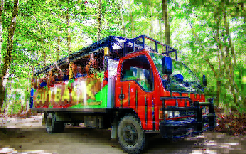 Outback Experience. <i>Amazing Local Tour in Punta Cana</i> - Everything Punta Cana