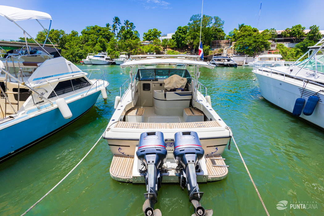 Private Boat Tour in Punta Cana – Scorpio Yacht for Groups of 6 - Everything Punta Cana