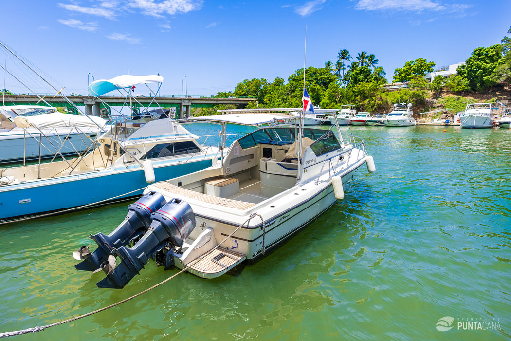 Private Boat Tour in Punta Cana – Scorpio Yacht for Groups of 6 - Everything Punta Cana