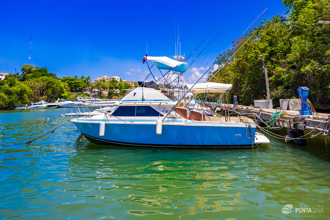 Private Boat Rental in Punta Cana – Consuelo 28ft Yacht with Optional Fishing Experience - Everything Punta Cana