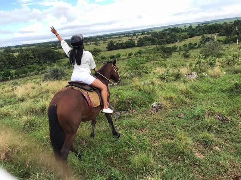 Punta Cana Horseback Riding – 4-HR Tour through Tropical Forests with Fruit Tasting & Cocoa Planting Experience - Everything Punta Cana