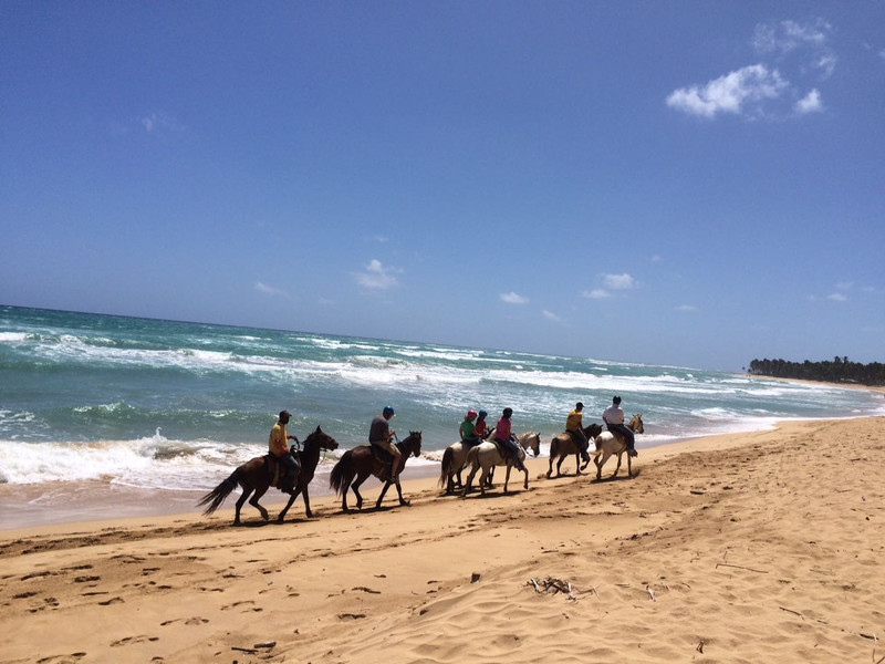Montaña Redonda & Horseback Riding 2-in-1 Tour – from Punta Cana, 2022 - Everything Punta Cana