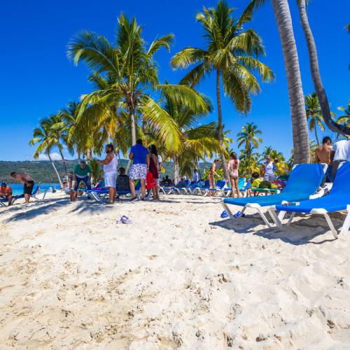 Private Whale Watching Tour from Punta Cana – Samaná, Cayo Levantado, El Limón Waterfall - Everything Punta Cana