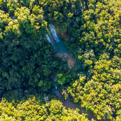 Private Whale Watching Tour from Punta Cana – Samaná, Cayo Levantado, El Limón Waterfall - Everything Punta Cana