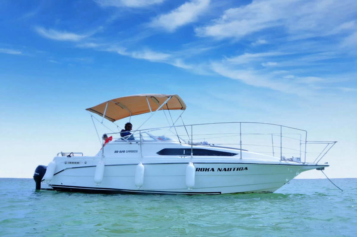 Best Private Punta Cana Snorkeling Tour – 3 Hours, Best Spots, Small Group, Equipment - Everything Punta Cana