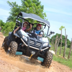 40-minute Buggy Excursion