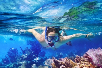 Catalina Island Day Trip: the Best Snorkeling Experience
