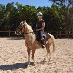 Horseback riding