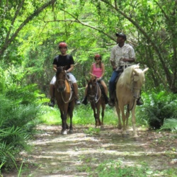 Horseback Ride