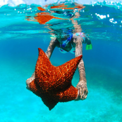 Natural Pool and Sea Stars