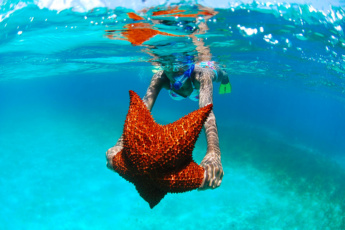 Saona Island Excursion – Caribbean Paradise