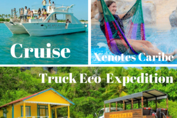 Sunshine Cruise + 2 Attractions at Scape Park