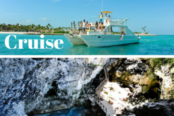 Sunshine Cruise + 1 Attraction at Scape Park