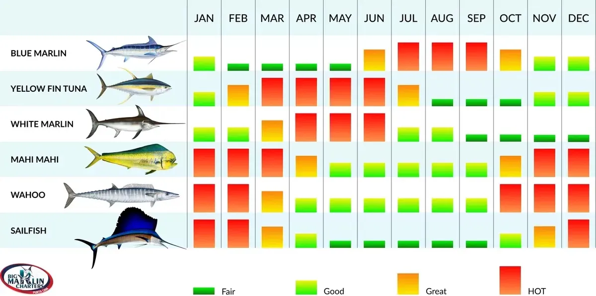 Dominican Republic Fishing Calendar Dominican Republic Fishing Calendar